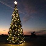Christmas in the South Bay - Hermosa Beach Christmas Tree