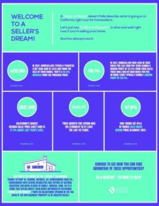 Sellers-Market-Infographic-
