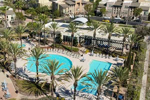 A resort pool area with two turquoise pools, palm trees, and numerous lounge chairs around the deck.